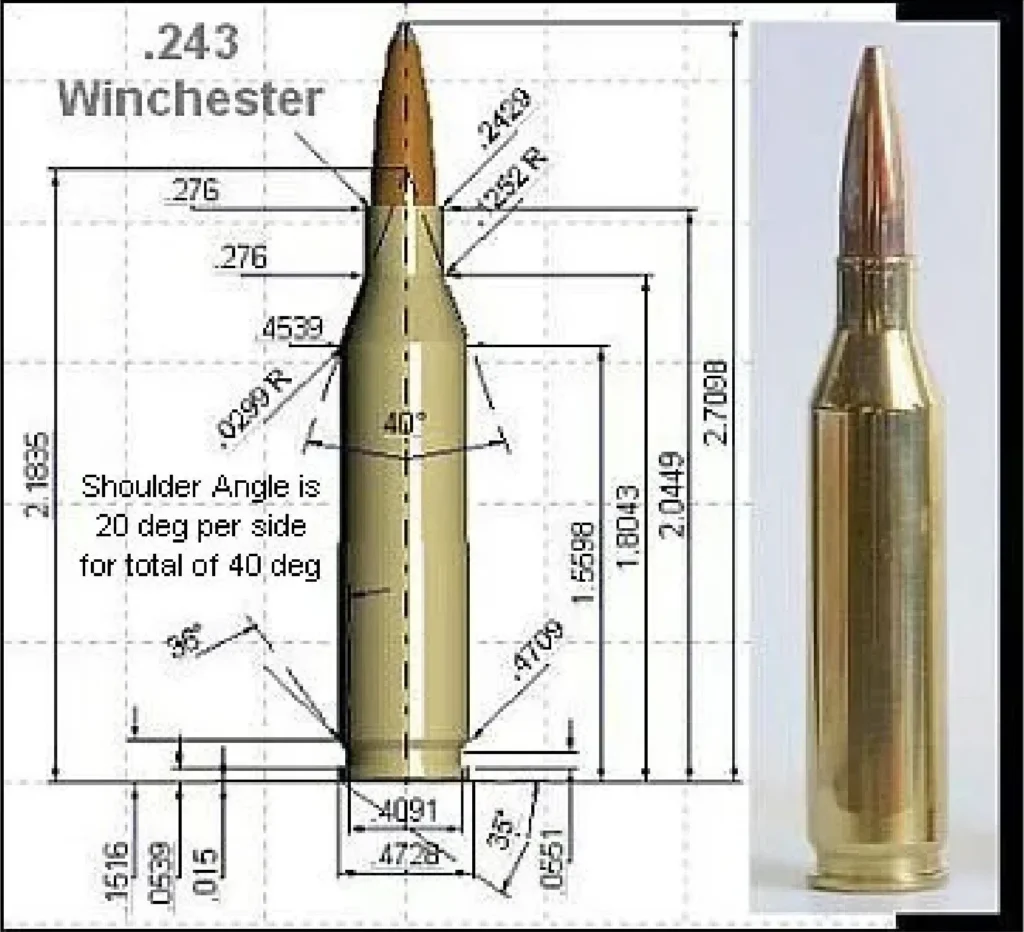 .243 Winchester Specs Graphic