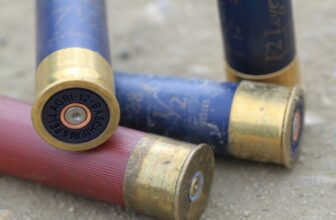 Beginner Basics: Ammunition Types