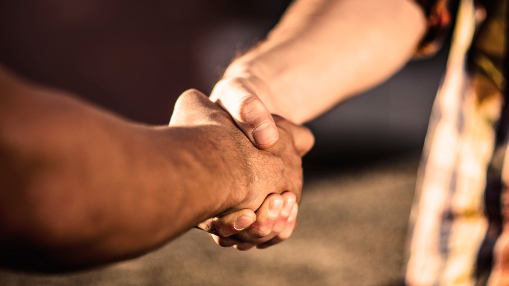 THE GREAT AMERICAN OUTDOOR SHOW