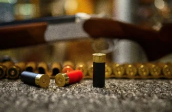 12 Gauge vs 20 Gauge: The Best Shotgun Shell Comparison