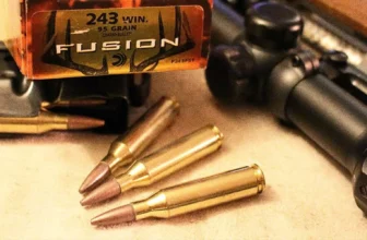 243 Winchester vs 308 Winchester