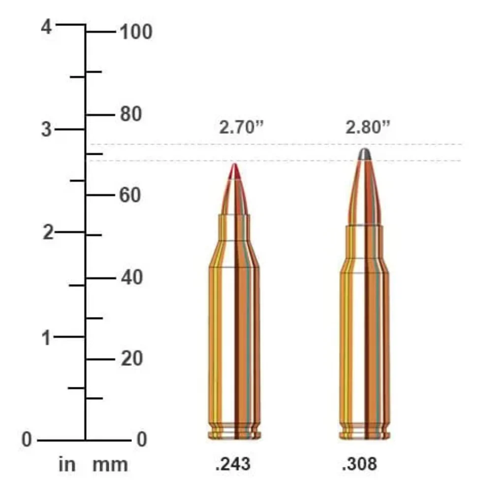 .243 Winchester bullet image compared to .308 winchester bullet height