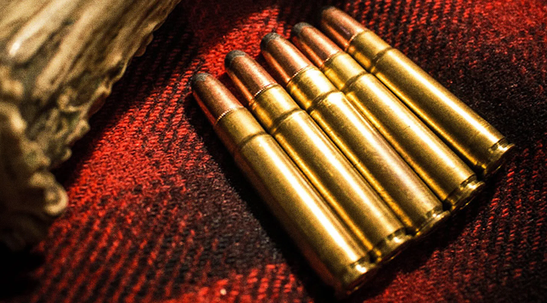 308 Winchester Buyer’s Guide: Everything You Need to Know